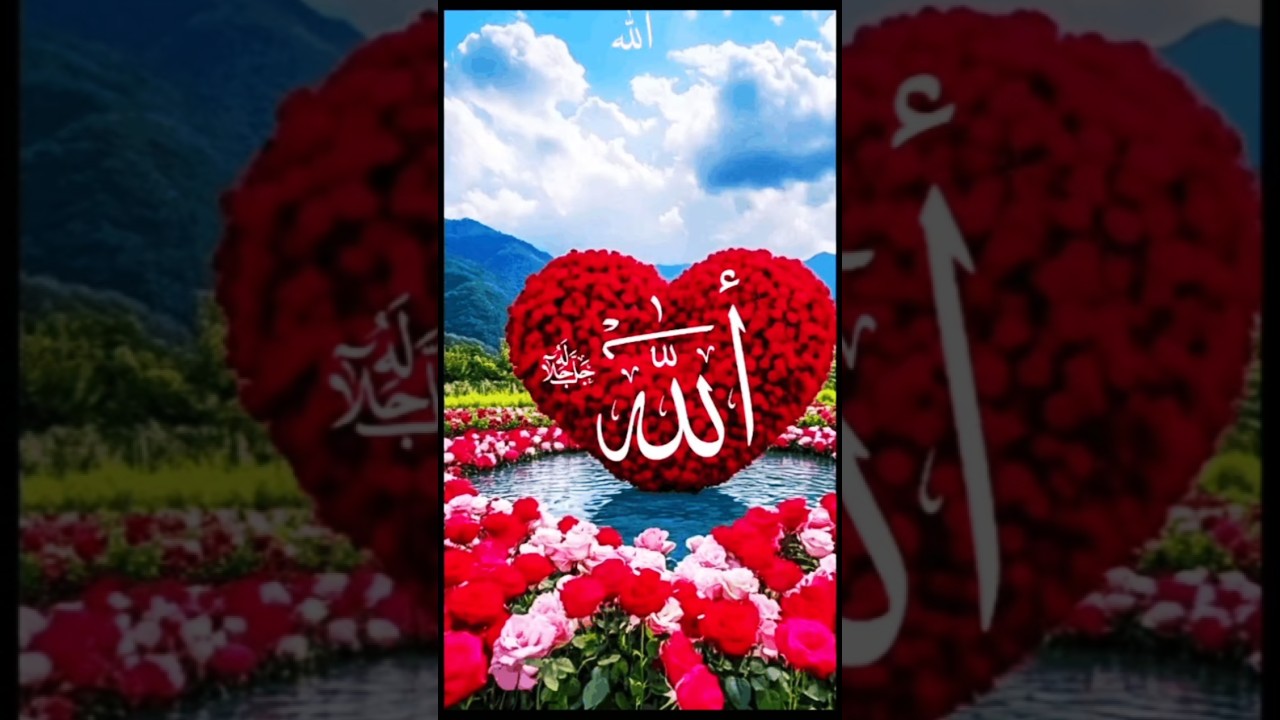 best Quotes video| best Islamic Quotes video| urdu quotes #quote #reels #quotes #quote #shorts