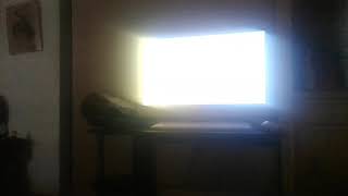 Marks Magic Picture - Ant Farm - Yo Gabba Gabba