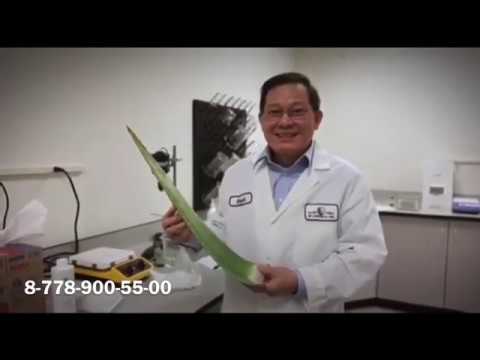 Алоэ Вера в ЯПОНИИ!!! О компании Алоэ Форевер Ливинг Продактс / Aloe Forever Living Products