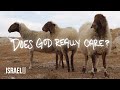 Does God Really Care
