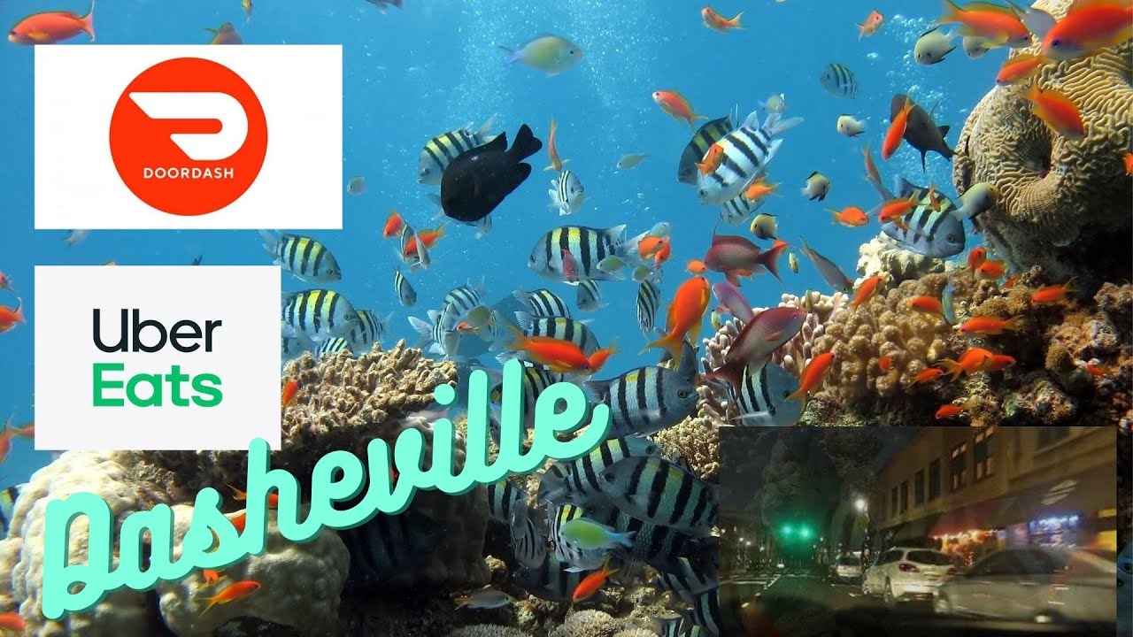 Food delivery with Phish in Asheville, NC YouTube