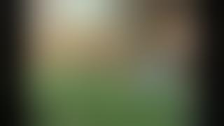 Yellow Man's Hidden Garden