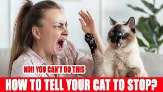 Is Your Cat Misbehaving? These Weird Tricks Will Change Everything! How To Tell No To Your Cat