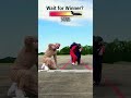 jet engine vs Humans for $10000🤑🤑🤑 #gaming