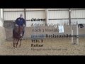 2016 Araber Wallach Aramis Teil 3 Reiten