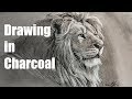 Drawing in Charcoal Live Demonstration