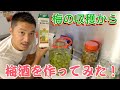 ゼロから梅酒作ってみた！