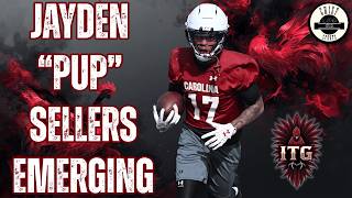 Gamecock Football: Jayden Sellers Among Top Names At Receiver