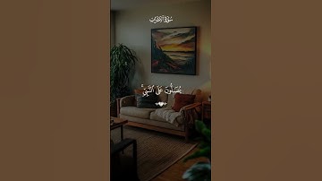 سورة الأحزاب آية 56 │ إن الله وملائكته يصلون على النبي ﷺ #اكسبلور