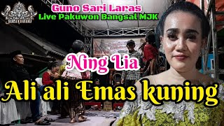 Ali ali emas kuning, Ning Lia
