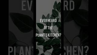 Chloroplast #shortvideo #viralvideo #shorts #trendingshorts #science#trending