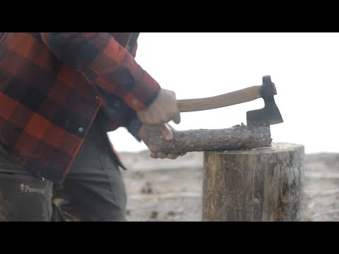 Video: Pot-bagt Boletus