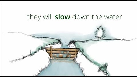 What is Natural Flood Management? A short explainer