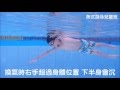 魚式游泳 陳俊勳教練 兒童班20160618 練習紀錄-自由式 滾轉