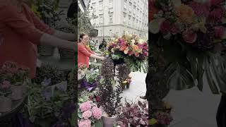 Blumenhaus zum Dom Florist and PLANT shop in VIENNA Austria | MOODY BLOOMS