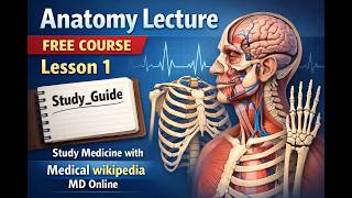 Anatomy Lecture Free Course Lesson 1 | Study_Guide| Study Medicine with Medical wikipedia MD Online