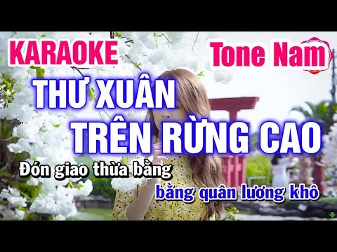 Karaoke Thư Xuân Trên Rừng Cao Tone Nam Nhạc Sống | Mai Thảo Organ
