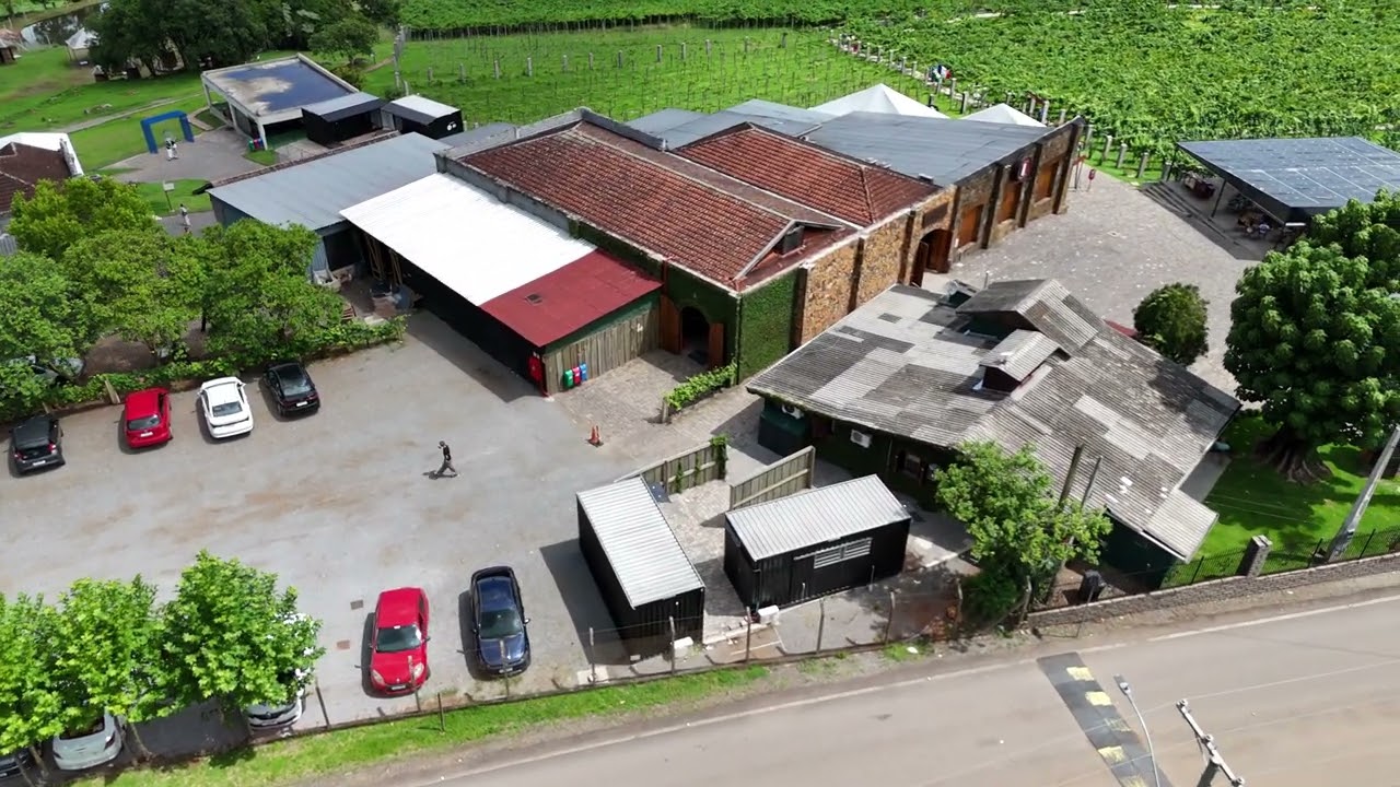 JOLIMONT - VITIVINICOLA - CANELA - RS - 2025