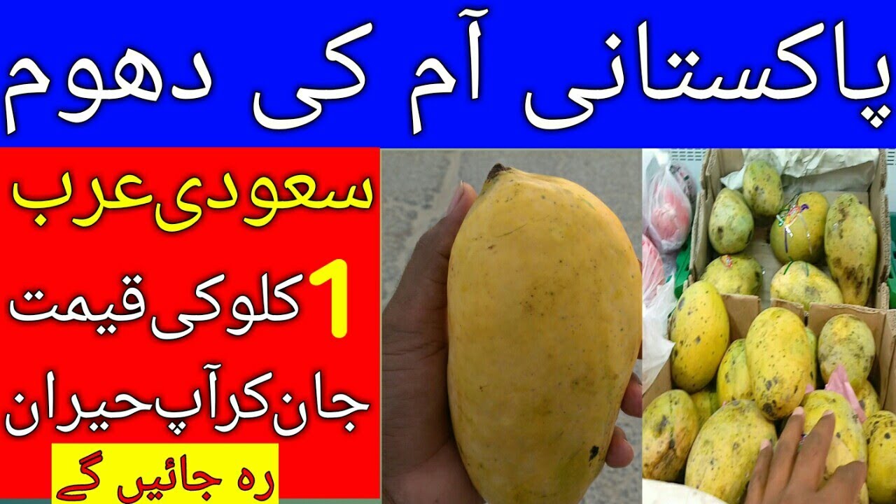 What is the Price of One kg of Pakistani Mango in Saudi Arabia?, Latest update Saudi arabia today,