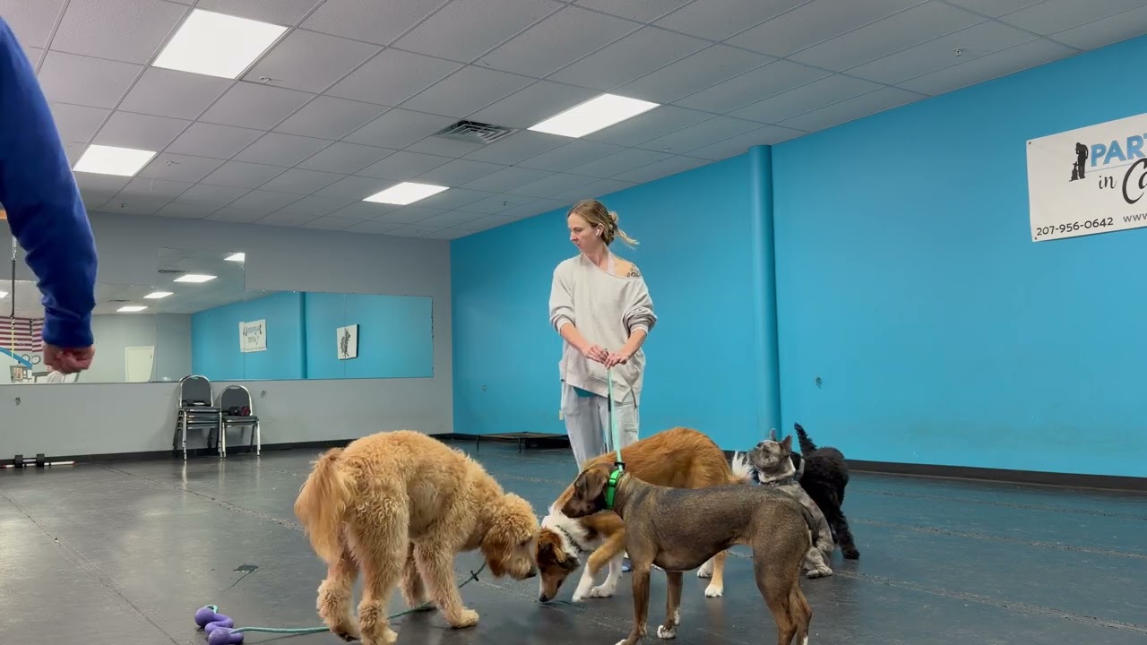 Bristol - Shutting Down on Walks