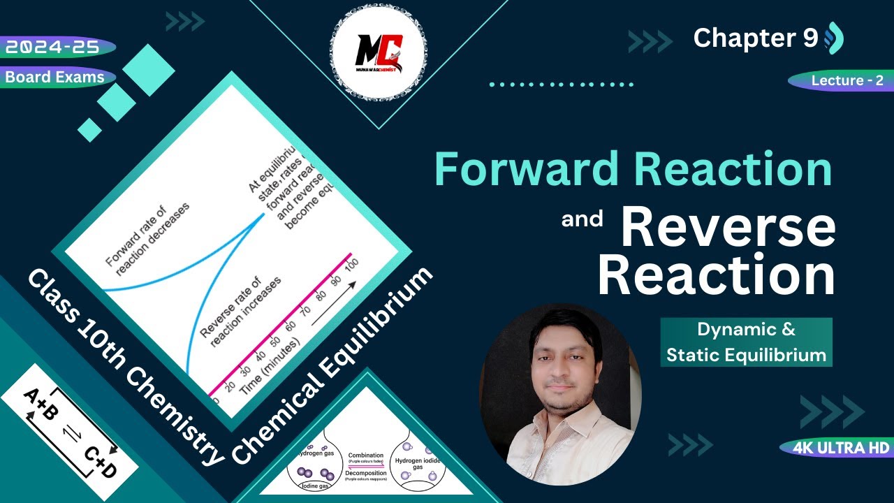 Forward & Reverse Reaction|Macroscopic Characteristics|Class 10 Chemistry|Chemical Equilibrium 9|L-2