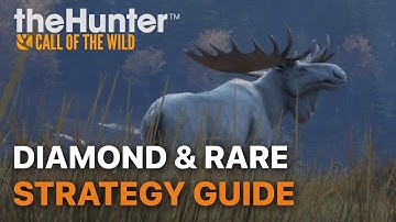 How to Find Diamonds and Rares | the Hunter Call of the Wild