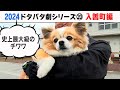 2024狂犬病予防注射会場のドタバタ劇⑳ 入善町編