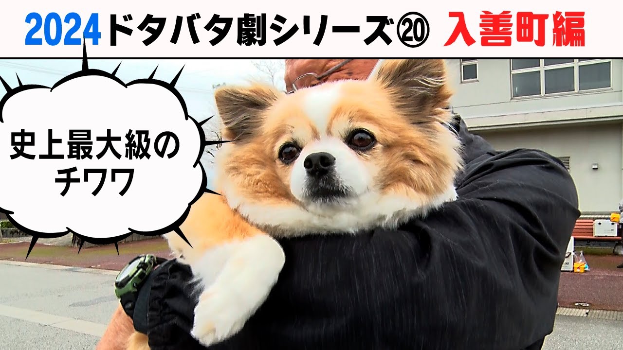 2024狂犬病予防注射会場のドタバタ劇⑳ 入善町編