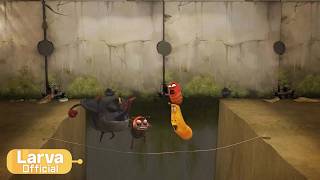 Rope | Animation Compilation | Larva Tuba | Official