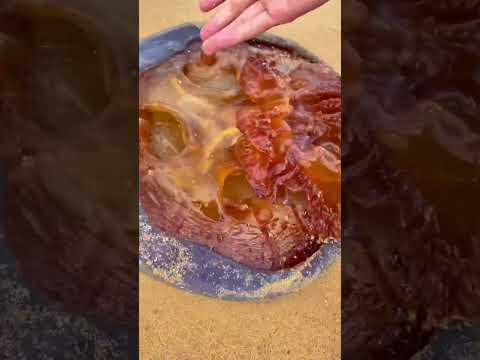 切水母合集