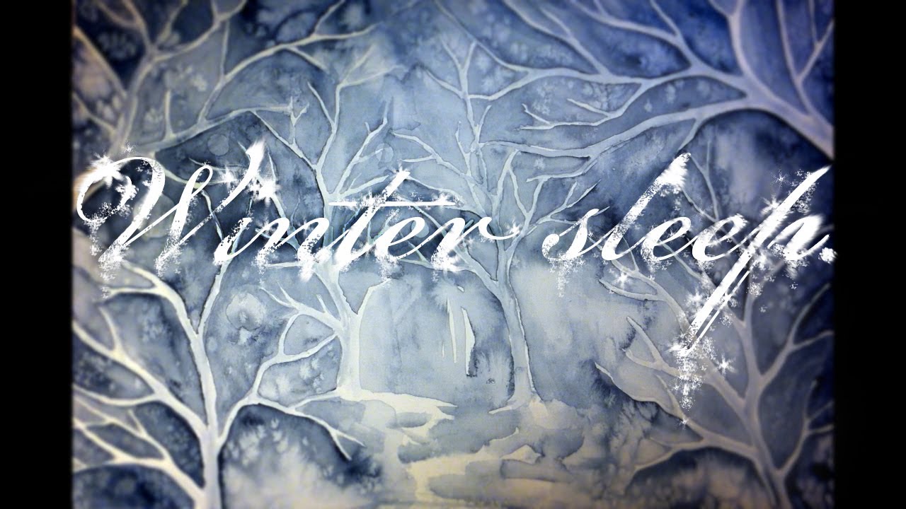 Winter sleep