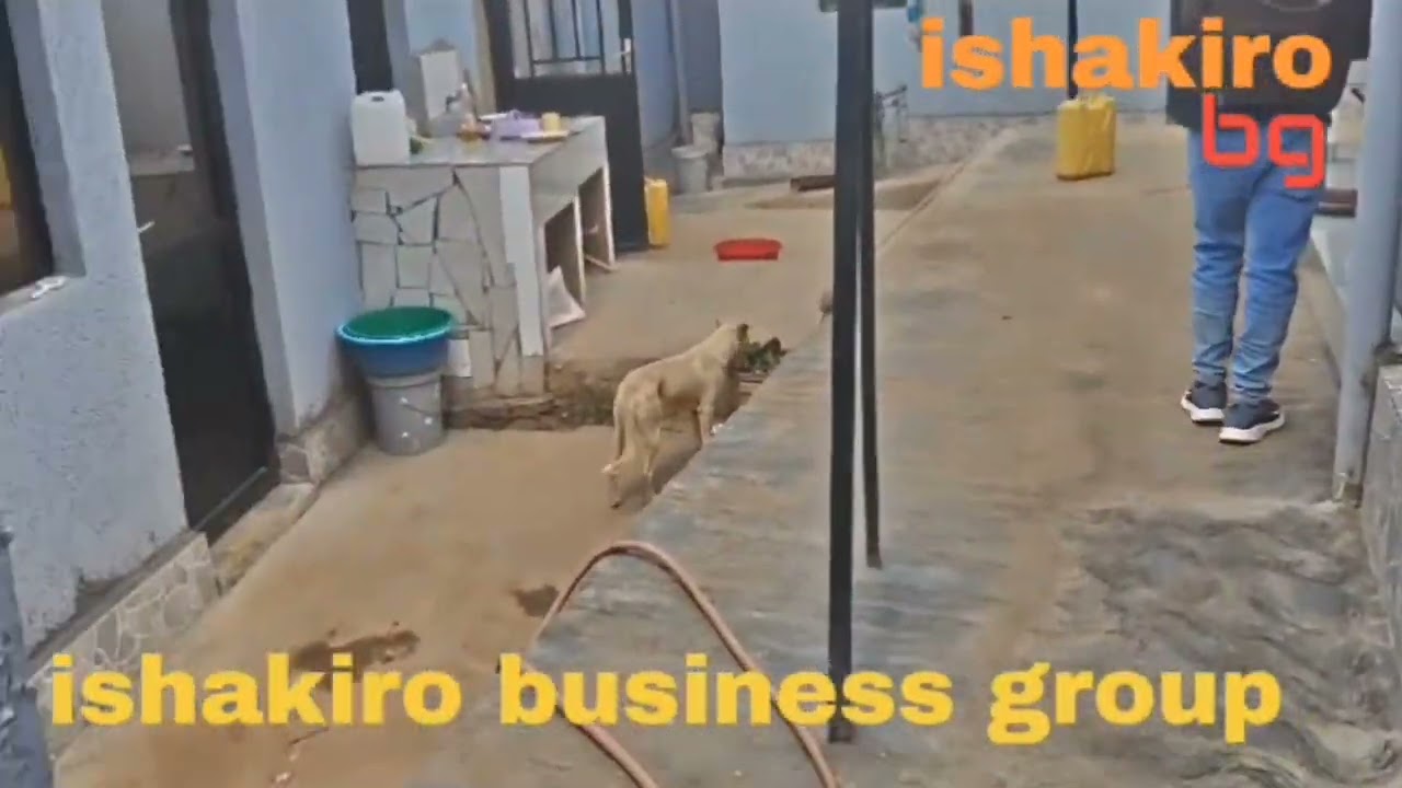 Irebere Igipangu cyiza kirimo Amazu meza cyane kigurishwa ikigali ikanombe #kigurishwa