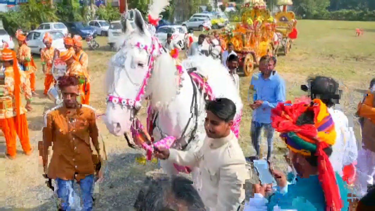 Padma Rani PADMA RANI 🐴🐴 - YouTube