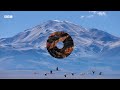 Frozen Salt Lake Turns Deadly for Flamingo Chicks | 4K UHD | Eden: Untamed Planet | BBC Earth
