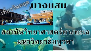 เที่ยววันหยุด บางแสน ชลบุรี Bangsan Aquarium สถาบันวิทยาศาสตร์ทางทะเล มหาวิทยาลัยบูรพา