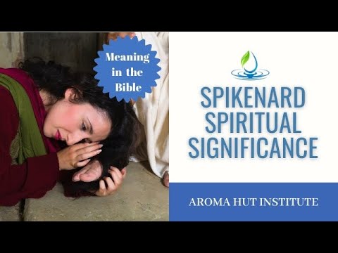 Spikenard Essential Oil | Spiritual Meaning (Essential Oils of the Bible)