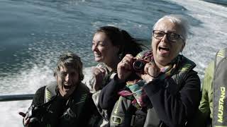 Information Whale Watching - Tofino Resort + Marina News