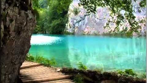 الشيخ محمد البراك سورة الزلزلة quran