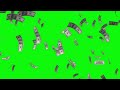 Dollar money falling ||Green screen ||