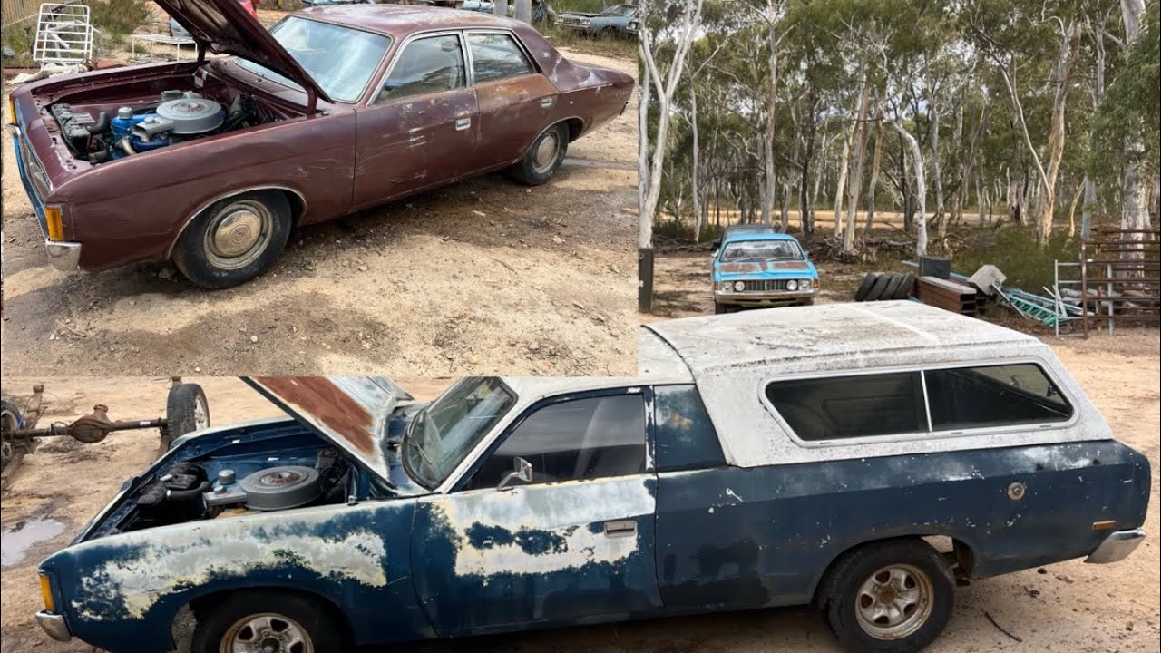 Новые поступления 26 февраля