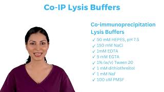 Co IP Protocol (Co-Immunoprecipitation) for analyzing protein-protein interactions