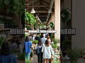 Cracking the Code of Green Entrepreneurship