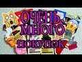 НАШИ ПОКУПКИ В ОТПУСКЕ // НУ ОЧЕНЬ МНОГО ВСЕГО