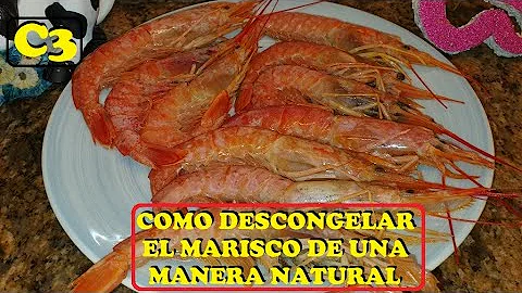 ¿Se estropean las gambas congeladas en la nevera?