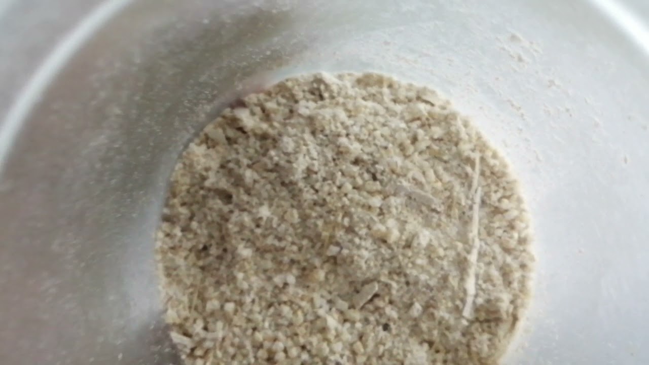 طريقة تحضير طعام لسمكة الكوبي وبأسهل الطرق مع جميع الفوائد