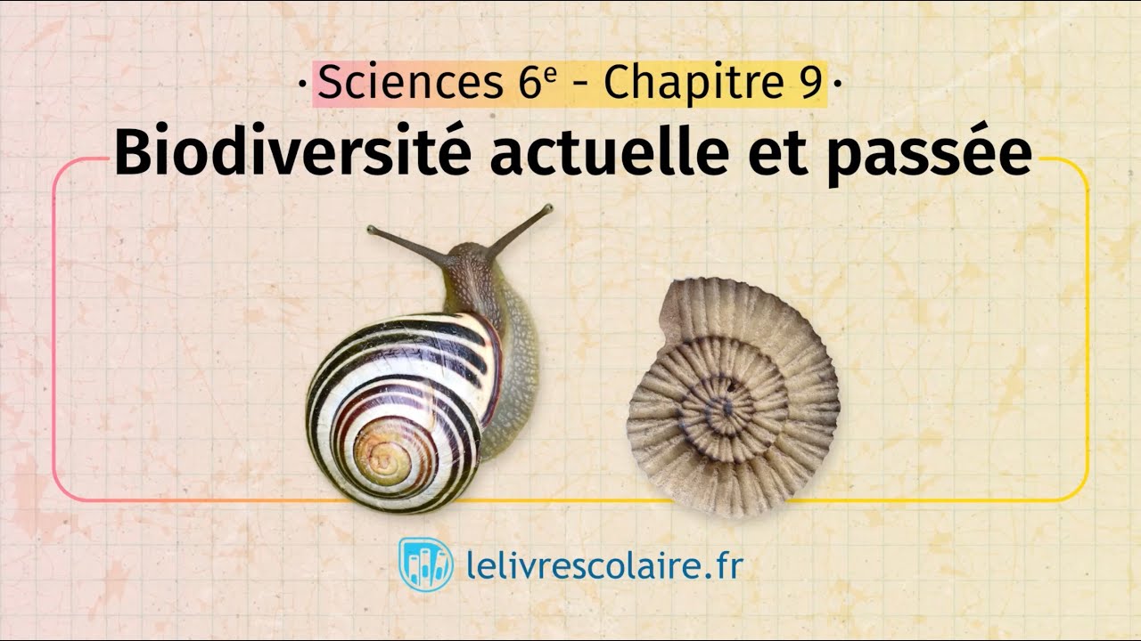 Biodiversité Actuelle Et Passée Page De Garde 6 Svt Biodiversité actuelle et passée (Sciences et Technologie 6e) - YouTube