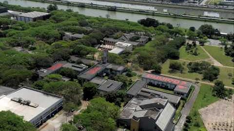 REMOTEWORDS # 11: University of São Paulo/Brazil (ECA/USP)