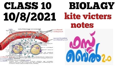 kite victers class 10 biolagy notes and assignments||10/8/2021||correct notes||quiz master