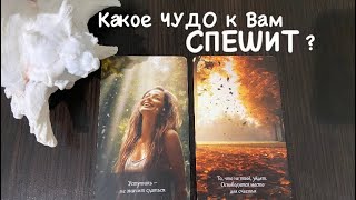 картинка: Таро❤️‍🔥Какое ЧУДО у Вас на ПОРОГЕ ?