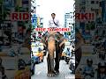 Do Thai Really Ride Elephants To Work? 🐘